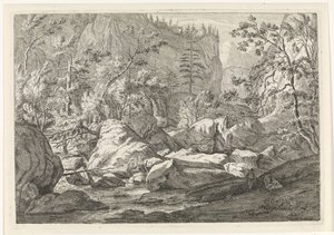 Burrone con massi e alberi da Johannes Glauber