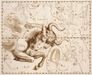 Toro (segno zodiacale), incisione dal Firmamentum Sobiescianum sive Uranographia, catalogo stellare completo, di Johann Hevelius, stampato a Danzica