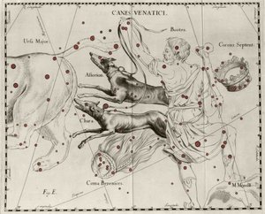 La costellazione Canes Venatici, Cani da caccia. Tavola tratta da Firmamentum Sobiescanum sive Uranographia di Johannes Hevelius da Johannes Hevelius
