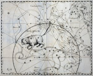 Orsa Minore, costellazione boreale dell