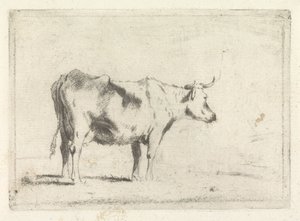 Mucca, verso destra da Johannes Janson (possibly)