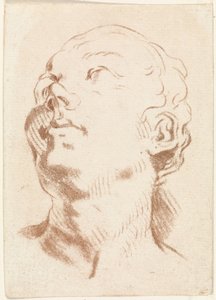Testa di donna