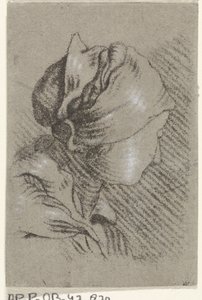 Busto di donna da Johannes Janson (possibly)