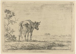 Mucca nel pascolo da Johannes Janson