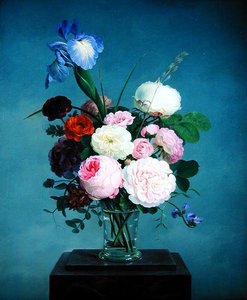 Rose e un