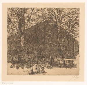 Alberi davanti a una fattoria