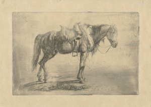 Cavallo sellato verso destra da Johannes Mock