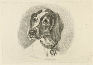 Testa di cane con collare con anello