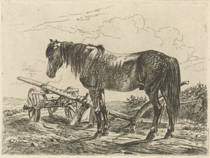 Cavallo con un aratro da Johannes Mock