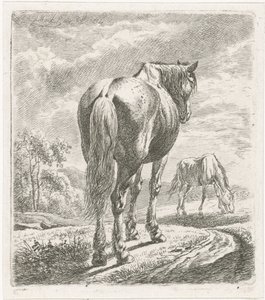 Cavallo visto da dietro da Johannes Mock