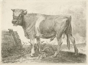 Toro da Johannes Mock
