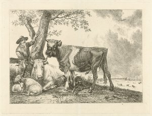 Toro e contadino da Johannes Mock