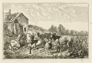Quattro capre e una pecora vicino a una casa da Johannes Mock