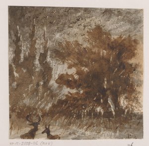 Cervi e uccelli vicino ad alberi alti