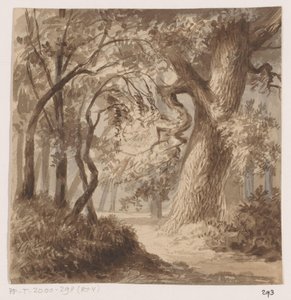 Paesaggio boschivo da Johannes Tavenraat