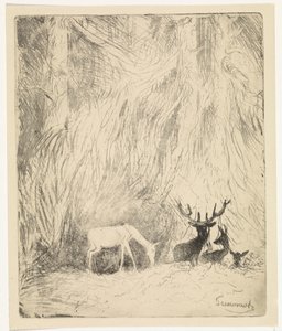Cervi in una foresta boema da Johannes Tavenraat