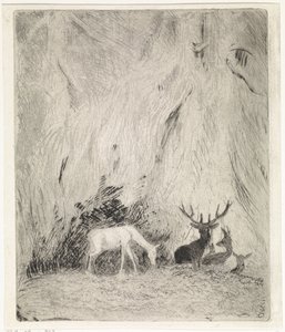 Cervi in una foresta boema da Johannes Tavenraat