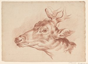 Testa di un cervo, verso sinistra da Johannes Tavenraat