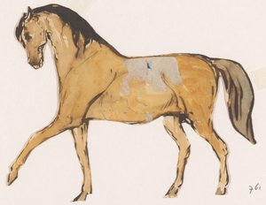 Cavallo (ritagliato) da Johannes Tavenraat