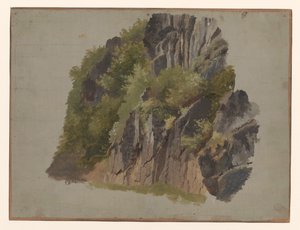 Rocce e vegetazione