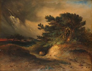 Il temporale da Johannes Tavenraat