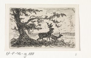 Due cervi sotto un albero da Johannes Tavenraat