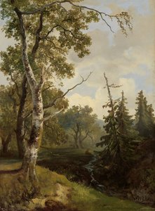 Veduta del bosco vicino a Wolfheze da Johannes Warnardus Bilders