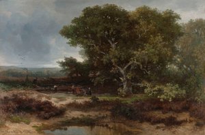 La brughiera vicino a Wolfheze da Johannes Warnardus Bilders
