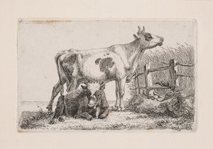 Una mucca riposante e una in piedi da Johannes Wilhelm Zillen