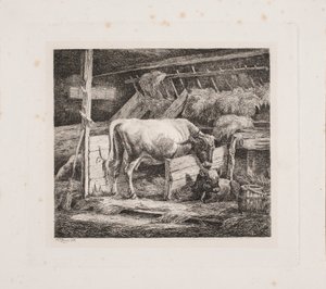 Una stalla da Johannes Wilhelm Zillen
