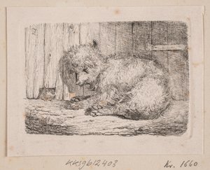 Un cane a pelo lungo da Johannes Wilhelm Zillen