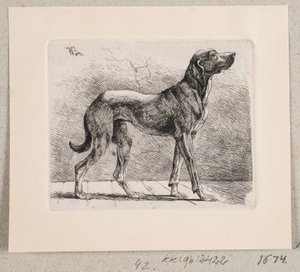 Un cane in piedi da Johannes Wilhelm Zillen