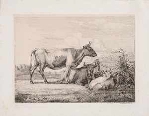 Mucche nel campo da Johannes Wilhelm Zillen