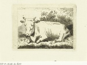 Mucca sdraiata
