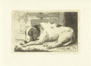 Cane che dorme da Johannes van Cuylenburgh