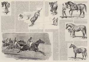 La carriera di un cavallo da corsa (incisione) da John (after) Charlton