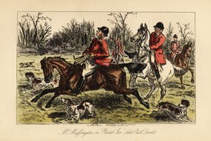 Cacciatore inglese trascinato in mezzo ai cani dal suo cavallo testardo