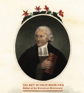 Ritratto di Colin Milne, botanico, 1806 (incisione) da John (after) Russell