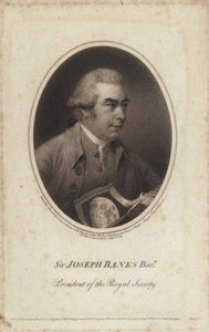Sir Joseph Banks, naturalista, botanico e presidente della Royal Society inglese da John (after) Russell