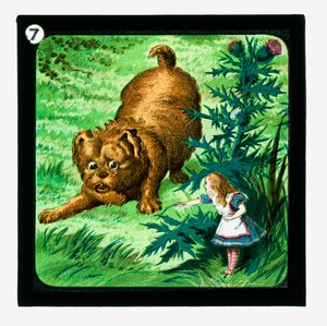 Alice nel Paese delle Meraviglie, Diapositive colorate da John (after) Tenniel