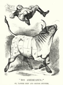 Cartone animato Punch: Bos Americanus; o, Manzo Yankee e Macellaio Britannico - benefici attesi per i consumatori dall