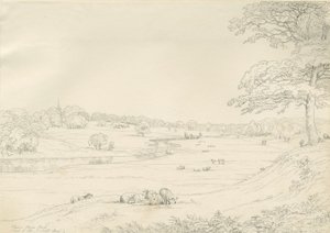 [Great] Barr Park (disegno a penna e inchiostro, inizio XIX secolo)