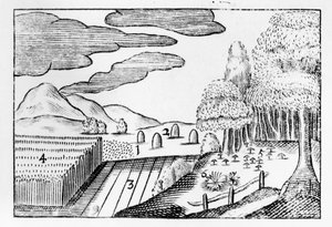 Frutti della Terra, 1658 da John Amos Comenius