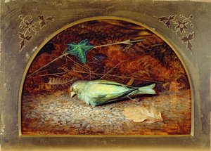Un Cardellino Morto da John Atkinson Grimshaw