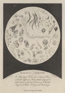 Vista microscopica di una goccia d