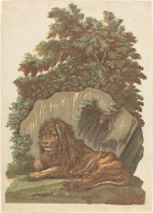 Il leone da John Baptist Jackson
