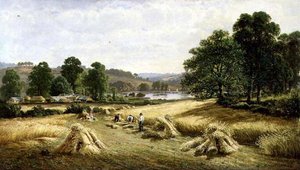 Raccolta del Grano Dorato vicino a Bishopsteignton, Plymouth da John Barrett