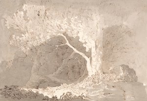 Studio di un albero da John Baverstock Knight