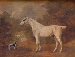 Un grigio macchiato e un terrier maculato da John Boultbee