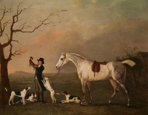 Immagine sconosciuta da John Boultbee